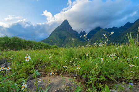 山丘谷在夏天与鲜花和蓝天在旅行和假期度假概念高清图片