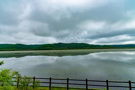 夏天阴的Takkobu湖是钏路湿原三湖以南最小的淡水湖背景图片