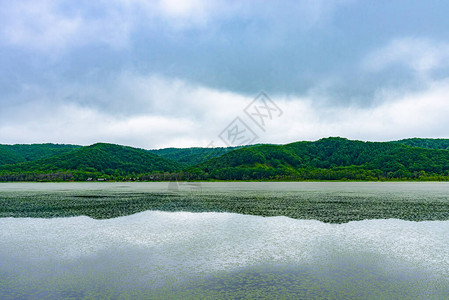 夏天阴的Takkobu湖是钏路湿原三湖以南最小的淡水湖图片