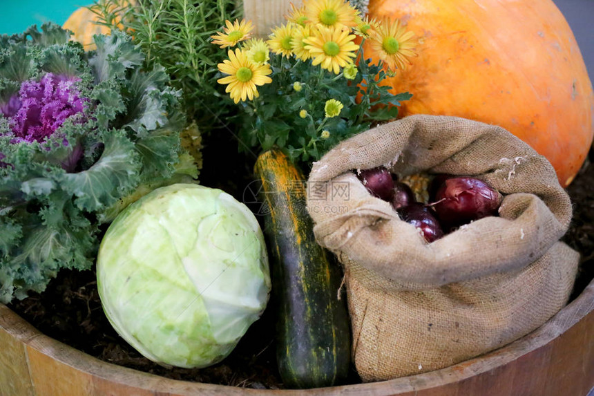 各种蔬菜和水果组作为秋季背景秋季食品产作为背景健康有机收获水果和蔬菜作为季图片