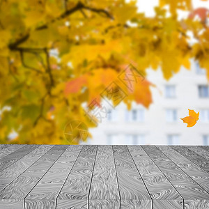秋幕背景的木桌您产图片