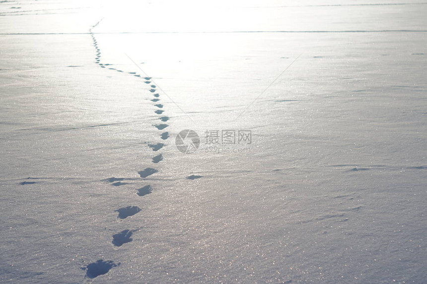 冬季运动冬季钓鱼在图片