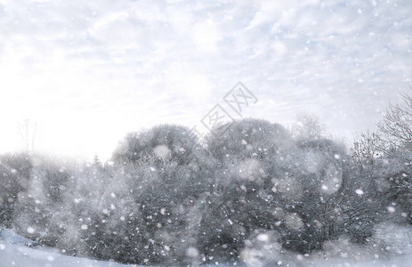 冬季公园雪天下的风图片