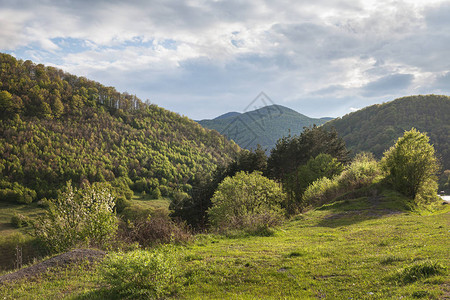 充满森林的春天风景山地日落喀尔巴阡乌克兰欧洲美图片