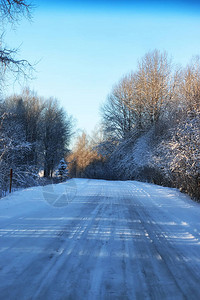 冬季道路景观阳光雪图片