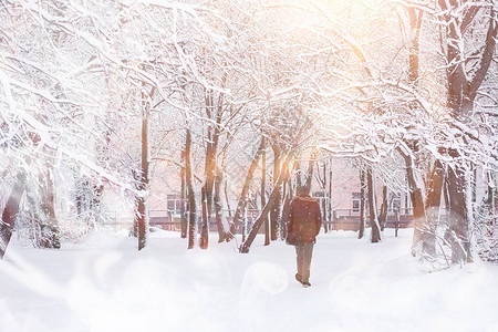 冬天风景雪下的森图片