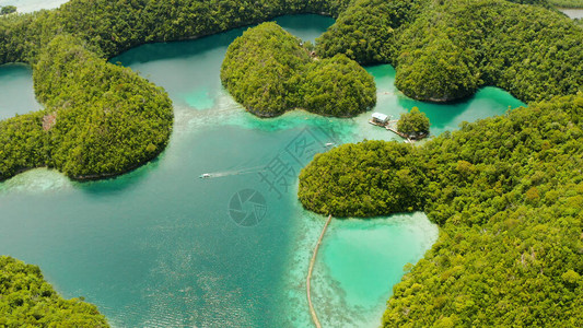 雨林和丛林环绕着清晰蓝水的湖边和海湾图片