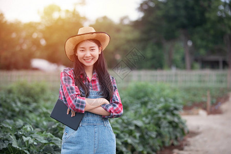 亚洲女农艺师和农民利用技术在农业和有机蔬菜图片