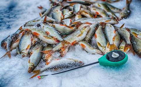 冬季运动冬季钓鱼在图片