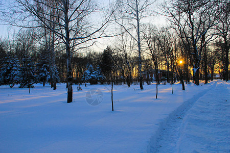 冬季城市公园的日落图片