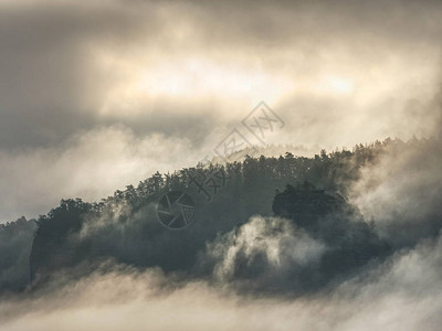绿色的山林景观雾蒙的山林梦幻般的景观云景观中的山林有雾的山林景观阴霾景观背景图片