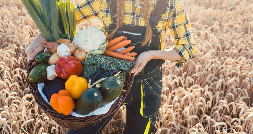 妇女在谷物田上携带健康和当地生产的健康蔬菜的篮子图片