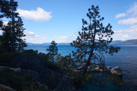 沙港州公园Tahoe图片