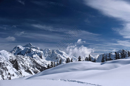 雪山丘陵和树木在大雪后覆盖着新鲜的雪舒克桑山艺术家点图片