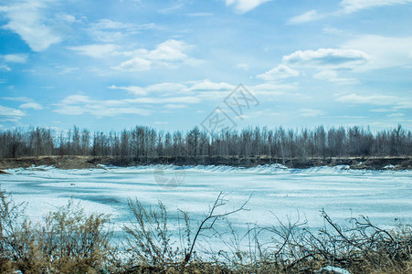 冬季森林景观结冰的湖面图片