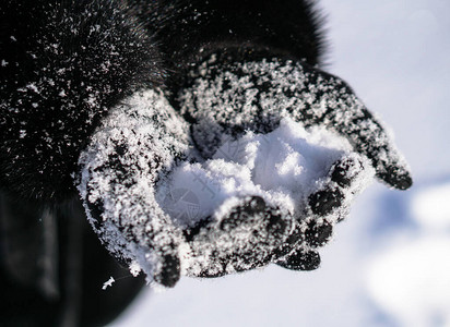 女手上有雪白黑手套和雪花圣诞图片