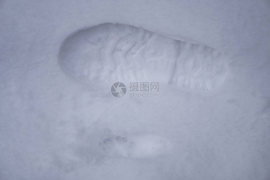 野生雪中的狗和人足迹雪中的靴脚足图片