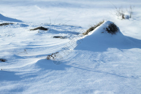 雪白的雪和被它遮蔽的大地农村和降雪冬天的沙丘和雪花图片