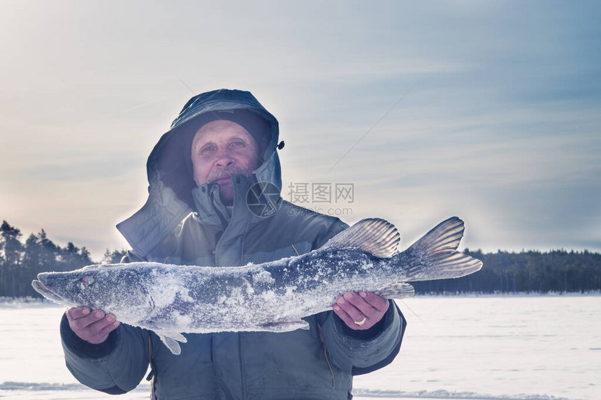 冬冰钓冬季运动爱好休闲游乐的捕捉角鱼图片