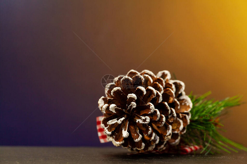 松果与圣诞节背景上的文字位置图片