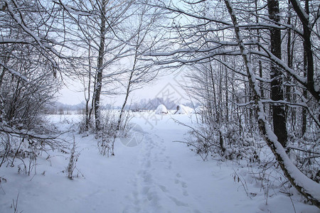 美丽的冬季景观在森林里城外的道路和降雪公园里的雪堆和未打扫的街道圣诞图片
