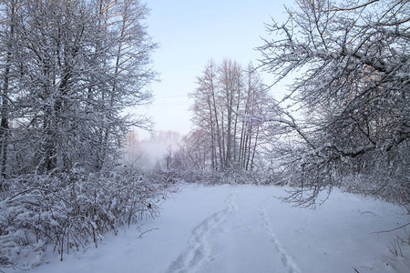 美丽的冬季风景图片