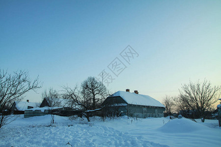 以树木和森林为背景的美丽冬季景观圣诞节和新年的心情降雪和图片