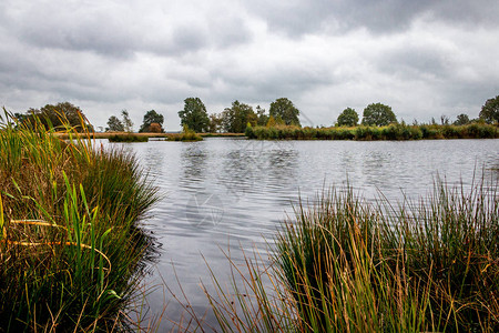 荷兰德伦特省公园Dwingelderveld公园Moorland中图片