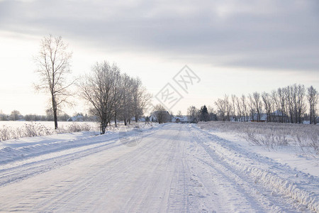 白天的雪路冬季图片