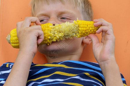小男孩吃煮玉米芯特写视频图片