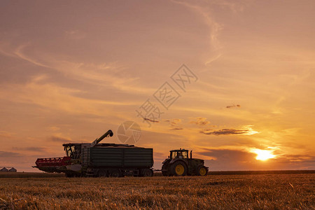 农业季节收获时间,日落时多图片