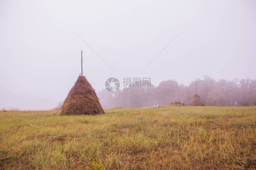 在秋天的迷雾中乡村地貌草原上图片