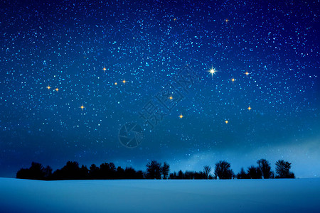 冬天的有雪覆盖的冷杉树和星的天空图片