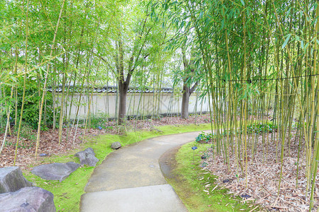 在竹子日本花园的通道它美图片