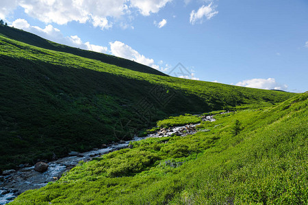 绿色山丘的河流绿图片