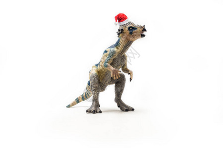 白底戴圣诞帽子的帕切斯法龙恐Pachycephalos图片