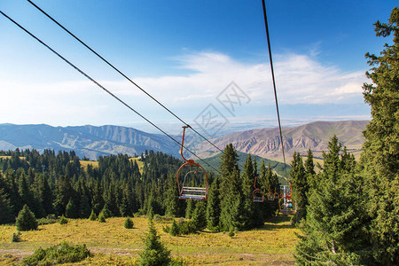 夏季山景高在山上高大的圣诞树滑雪基图片