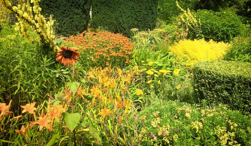 英格兰克伍德西辛赫斯特卡斯尔特花园美丽的花朵树木和植物以及图片