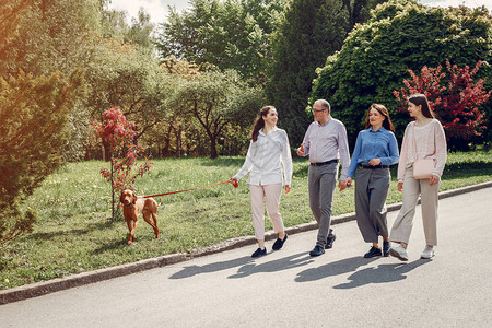 家庭在一个夏季公园的家庭人们与狗一起走路父图片