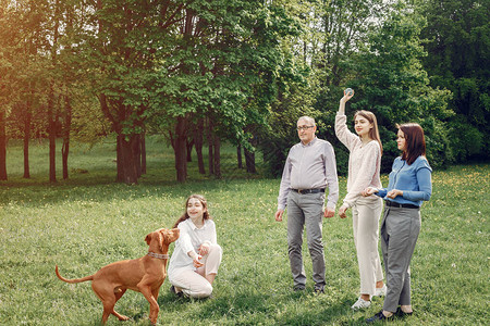 家庭在一个夏季公园的家庭人们与狗一起走路父图片