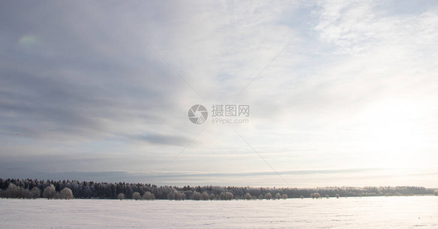 冰冻白树田间雪域冬季景观图片