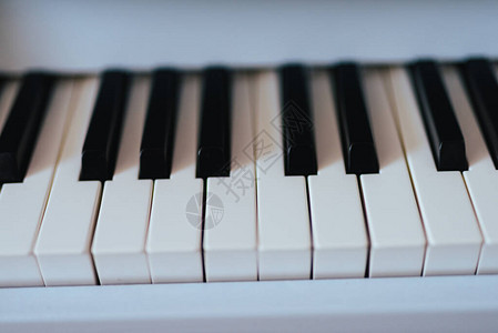 钢琴键盘关闭白色和黑色图片