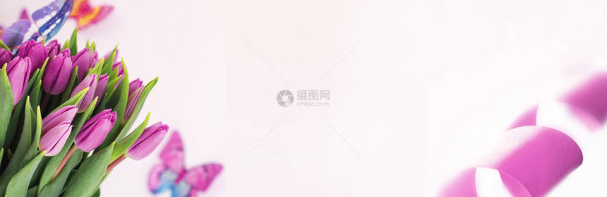 白色背景上美丽的粉红色郁金香花束图片