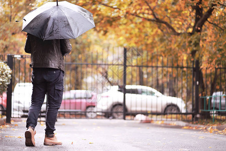 十月下午的秋雨公园图片