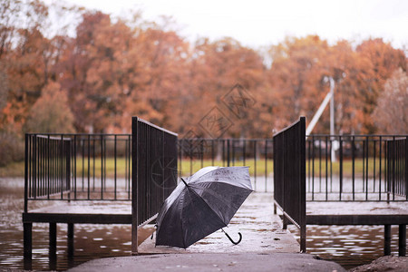十月下午的秋雨公园图片