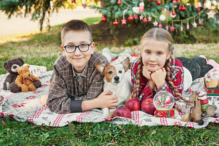 儿童男孩和女孩带着一只狗杰克罗素梗在圣诞树旁带着礼物图片