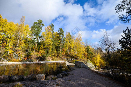 森林中的河流有急流秋天芬兰图片