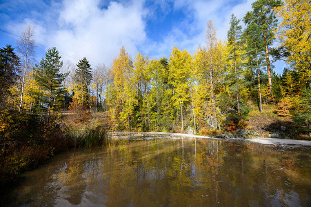 有黄树的秋天森林河芬兰图片