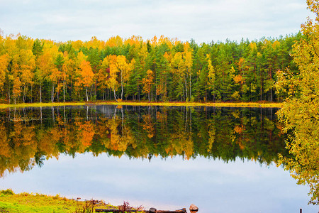 美丽的秋天风景湖中秋天森林的倒影图片