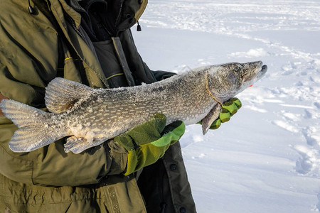冬季渔人钓鱼时捕冰场钓鱼冬高清图片